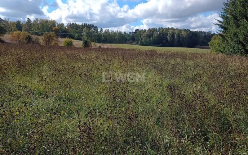 Działka na sprzedaż Wejdyki